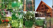 Материалы для сада,  огорода,  ландшафтного дизайна
